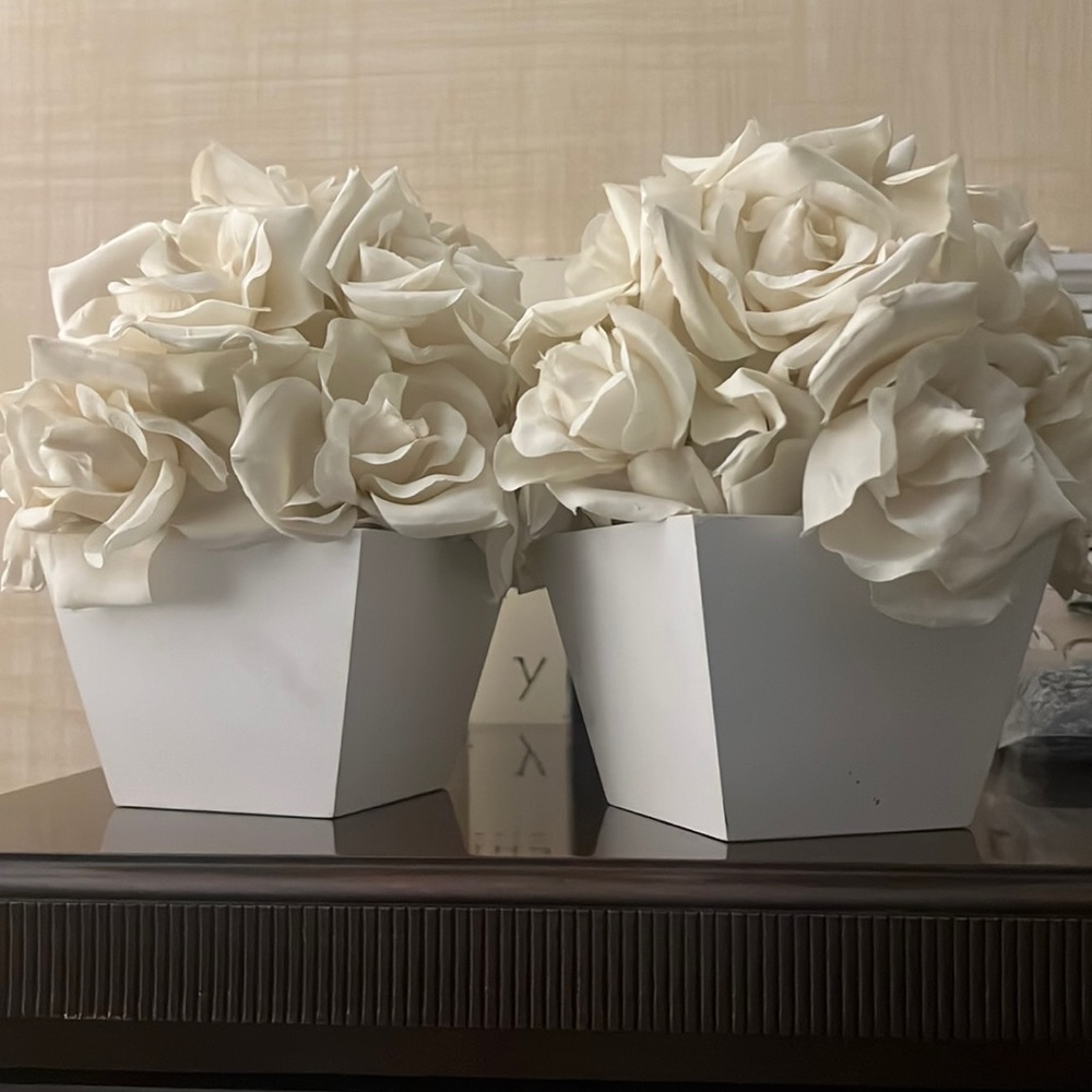2 Decorative rose plants